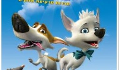 צפייה ישירה כלבים בחלל | space dogs