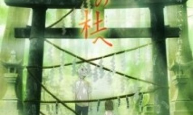 אל היער של אורות הגחלילית תרגום מובנה לצפייה ישירה