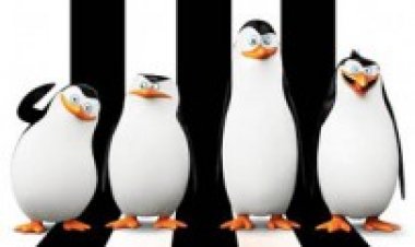 הפינגווינים ממדגסקר (2014) תרגום מובנה מדובב Penguins of Madagascar לצפייה ישירה