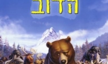 אחי הדוב 12 מדובב לצפייה ישירה