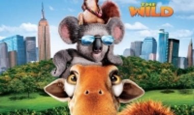 ג'ונגל סיטי (2006) מדובב לצפייה ישירה