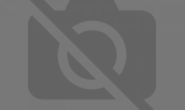 דופוס מדובב / Dofus לצפייה ישירה