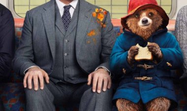 הדב פדינגטון (2014) תרגום מובנה – מדובב Paddington