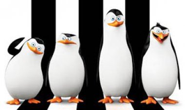 הפינגווינים ממדגסקר (2014) תרגום מובנה מדובב Penguins of Madagascar לצפייה ישירה