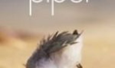 פיפר לצפייה ישירה / Piper לצפייה ישירה