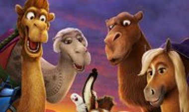 הכוכב לצפייה ישירה עם תרגום מובנה | The Star