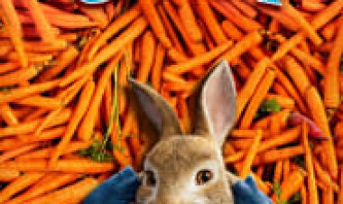 פיטר ראביט לצפייה ישירה עם תרגום מובנה | Peter Rabbit