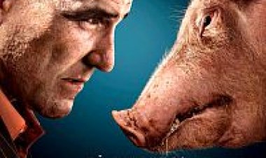 צפייה ישירה מנותב | Redirected