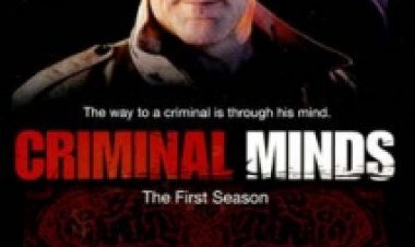 מחשבות פליליות עונה 9 תרגום מובנה לצפייה ישירה