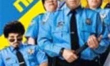 עקוב ודווח תרגום מובנה לצפייה ישירה | Observe And Report