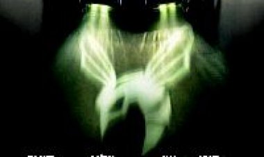 הצרעה הירוקה תרגום מובנה לצפייה ישירה | The Green Hornet