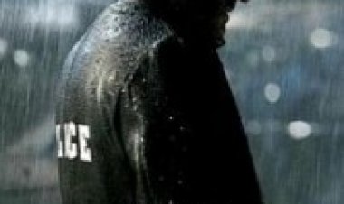 אם אר 73 תרגום מובנה לצפייה ישירה