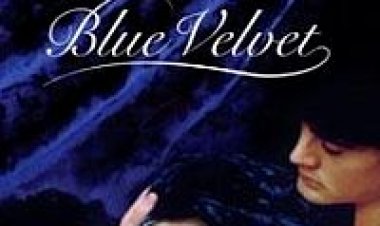 קטיפה כחולה תרגום מובנה – Blue Velvet