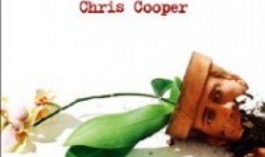 אדפטיישן תרגום מובנה לצפייה ישירה | Adaptation