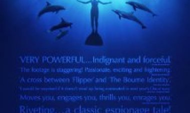 צפייה ישירה הלגונה הסודית | The Cove