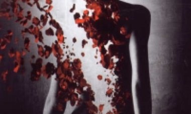 הבושם סיפורו של רוצח תרגום מובנה לצפייה ישירה