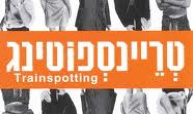 טריינספוטינג תרגום מובנה לצפייה ישירה