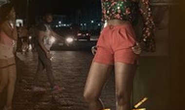 אולוטורה לצפייה ישירה עם תרגום מובנה | Oloture