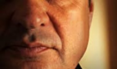 פרי לצפייה ישירה עם תרגום מובנה | Ferry