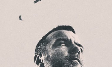 ריי דונובן הסרט לצפייה ישירה עם תרגום מובנה | Ray Donovan The Movie