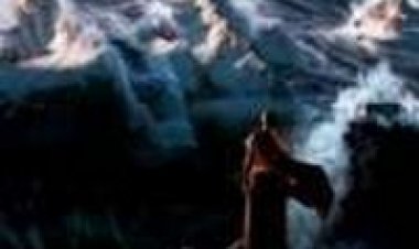 2012 תרגום מובנה לצפייה ישירה