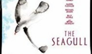 השחף לצפייה ישירה עם תרגום מובנה | The Seagull