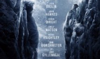 אוורסט תרגום מובנה – Everest