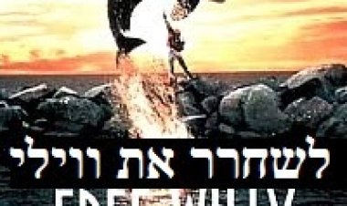 לשחרר את ווילי תרגום מובנה להורדה ולצפייה ישירה / Free Willy
