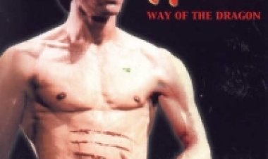 שאגת הדרקון תרגום מובנה לצפייה ישירה | Way Of The Dragon