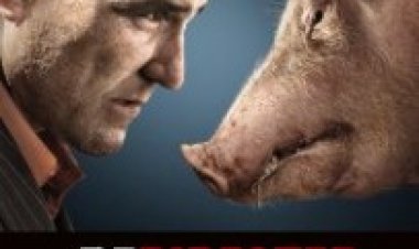 מסובבים תרגום מובנה לצפייה ישירה | Redirected