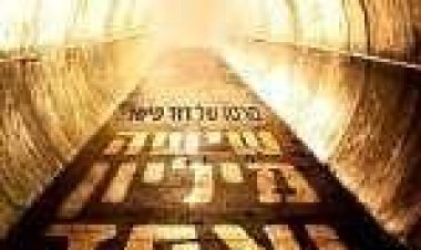 שישה מיליון ואחד תרגום מובנה לצפייה ישירה