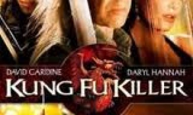 רוצח הקונג פו (2008) תרגום מובנה לצפייה ישירה