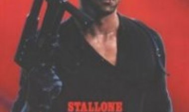 קוברה תרגום מובנה – Cobra