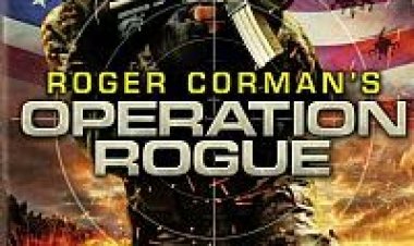 נוכלים בפעולה תרגום מובנה / Operation Rogue 2014 לצפייה ישירה