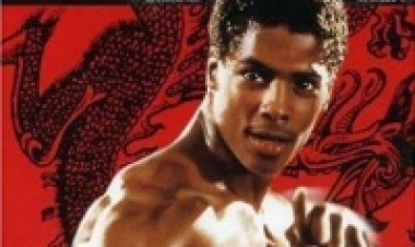 הדרקון האחרון תרגום מובנה לצפייה ישירה