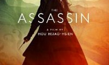 המחסלת תרגום מובנה The Assassin לצפייה ישירה