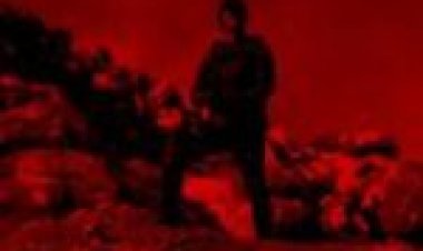 סוכן לצפייה ישירה מתורגם / Agent לצפייה ישירה