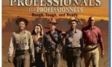 המקצוענים תרגום מובנה לצפייה ישירה