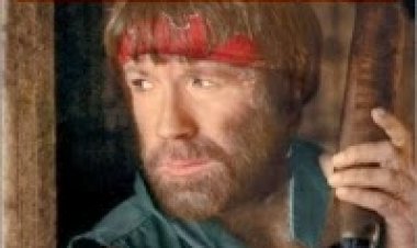 זאב בודד תרגום מובנה לצפייה ישירה