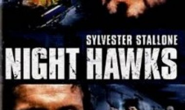 מרדף אל תוך הלילה תרגום מובנה לצפייה ישירה