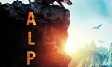 אלפא לצפייה ישירה עם תרגום מובנה | Alpha