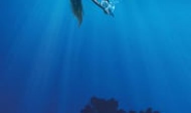 תעלומה בסילבר לייק לצפייה ישירה עם תרגום מובנה | Under the Silver Lake