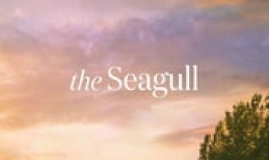 השחף לצפייה ישירה עם תרגום מובנה | The Seagull