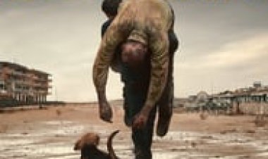 דוג מן לצפייה ישירה עם תרגום מובנה | Dogman