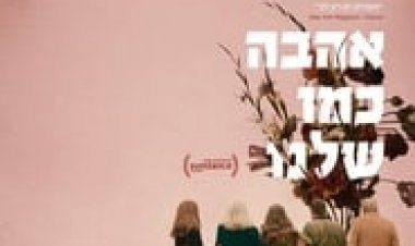 אהבה כמו שלנו לצפייה ישירה עם תרגום מובנה | What They Had