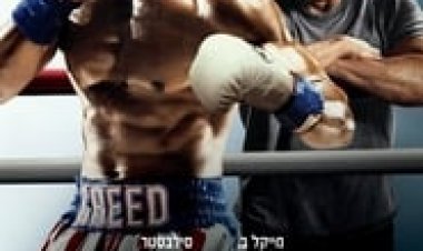 קריד 2 לצפייה ישירה עם תרגום מובנה | Creed II