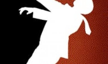 ציפור בשחקים לצפייה ישירה עם תרגום מובנה | High Flying Bird