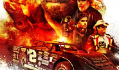 מסחר לצפייה ישירה עם תרגום מובנה | Trading Paint
