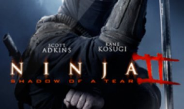 נינג'ה חוזר 2 (2013) תרגום מובנה לצפייה ישירה