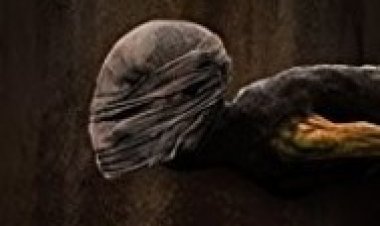 המאוס לצפייה ישירה עם תרגום מובנה | The Maus